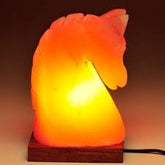 Multi Color Changing USB Horse Neck shape Himalayan Salt Lamp